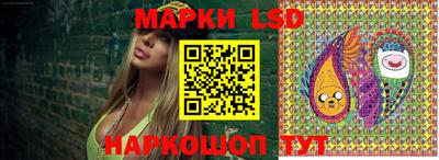 бошки Гатчина