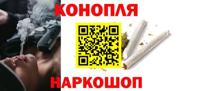 бошки Гатчина
