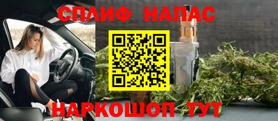 дживик Бийск