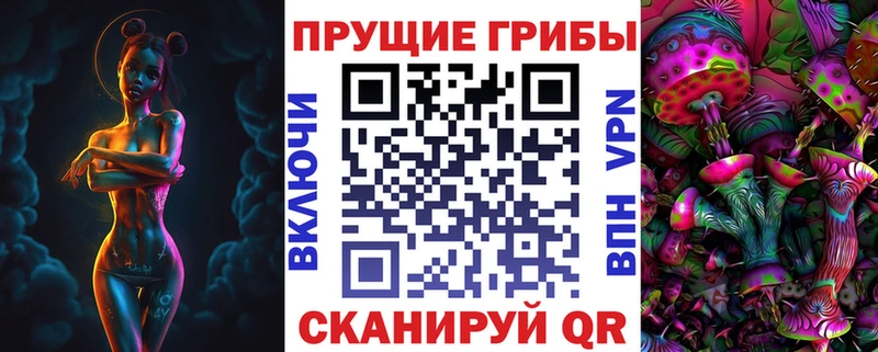 Псилоцибиновые грибы Psilocybine cubensis  Черняховск 