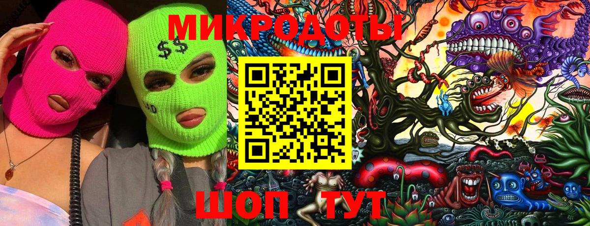 Галлюциногенные грибы MAGIC MUSHROOMS  где купить наркоту  Черняховск  Псилоцибиновые грибы прущие грибы  Вход с VPN 