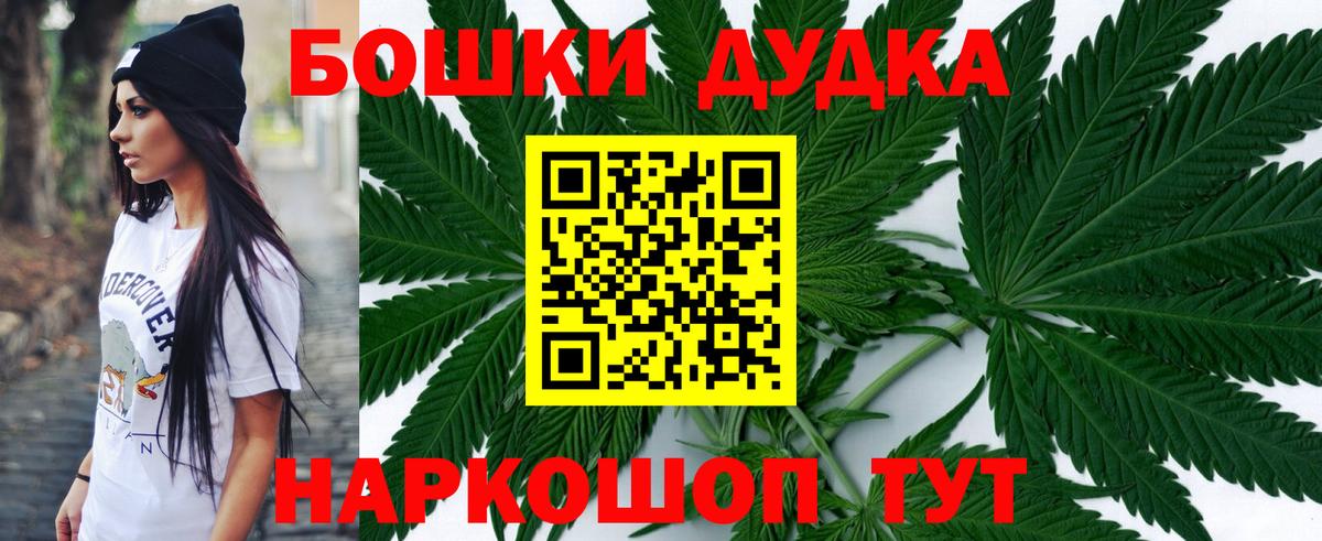 МАРИХУАНА план  МАРИХУАНА ГИДРОПОН  Каннабис планчик  Черняховск  Каннабис MAZAR 